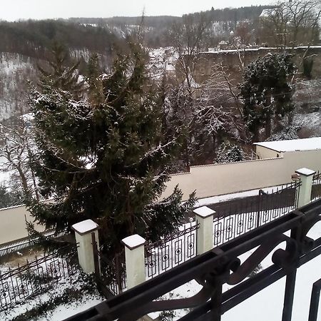 Villa Liduska S Kavarnou Bechyně Buitenkant foto