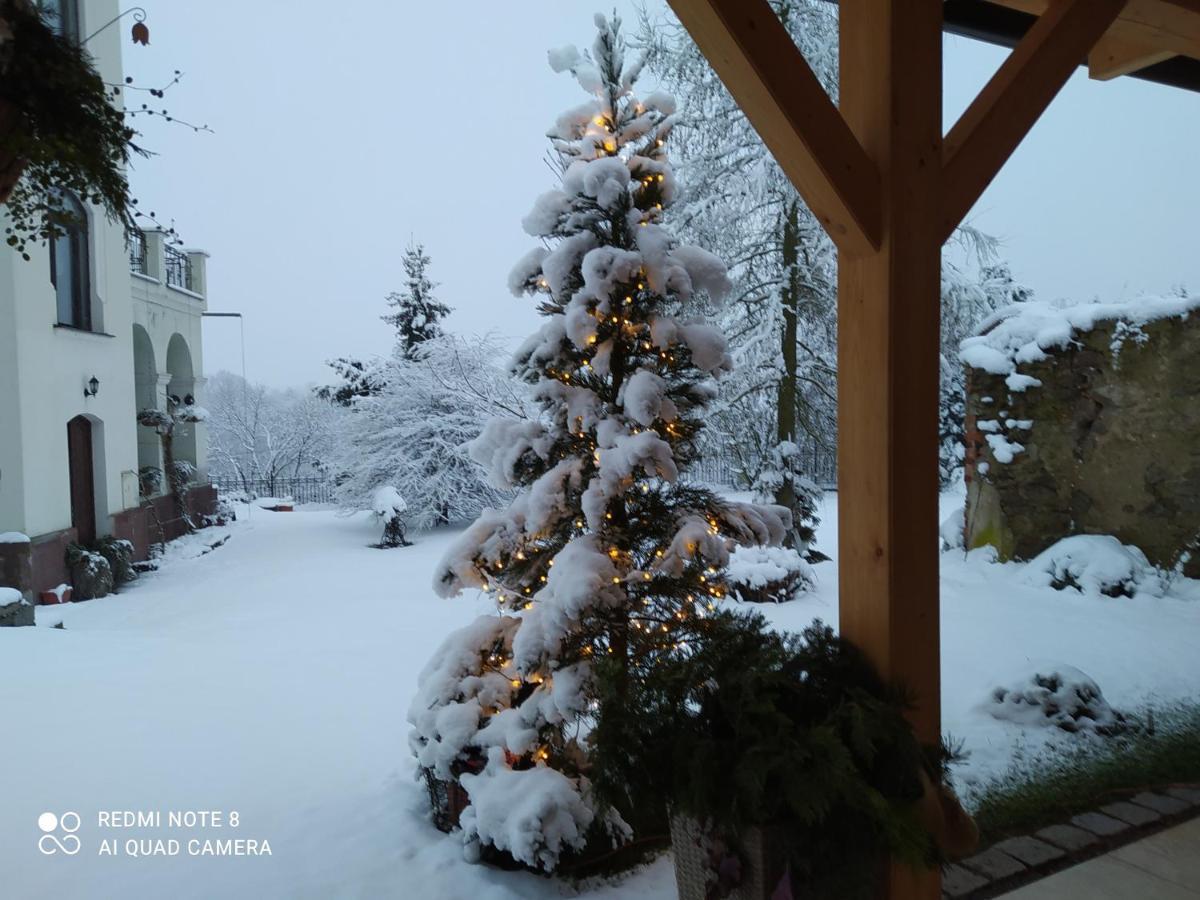 Villa Liduska S Kavarnou Bechyně Buitenkant foto