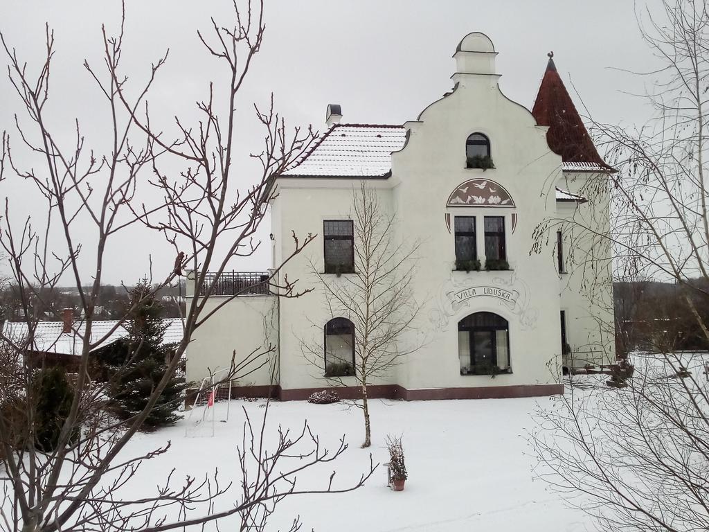 Villa Liduska S Kavarnou Bechyně Buitenkant foto
