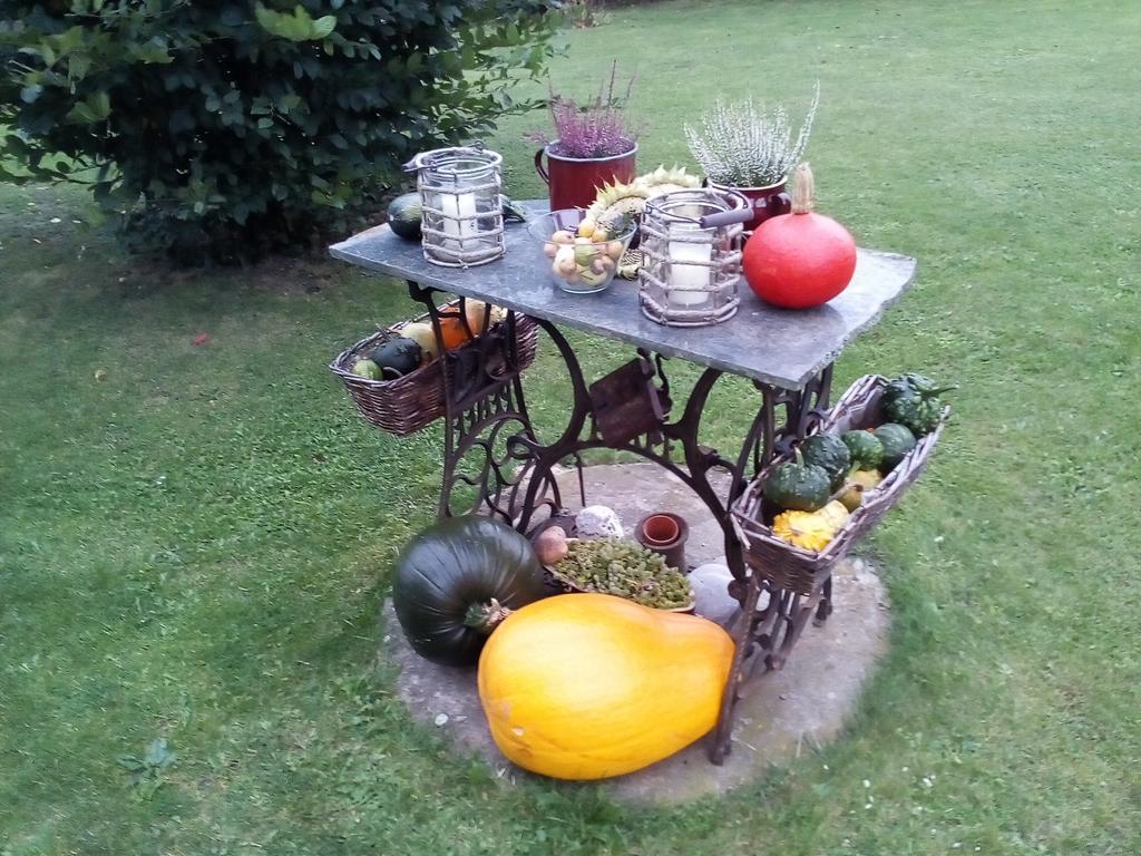 Villa Liduska S Kavarnou Bechyně Buitenkant foto