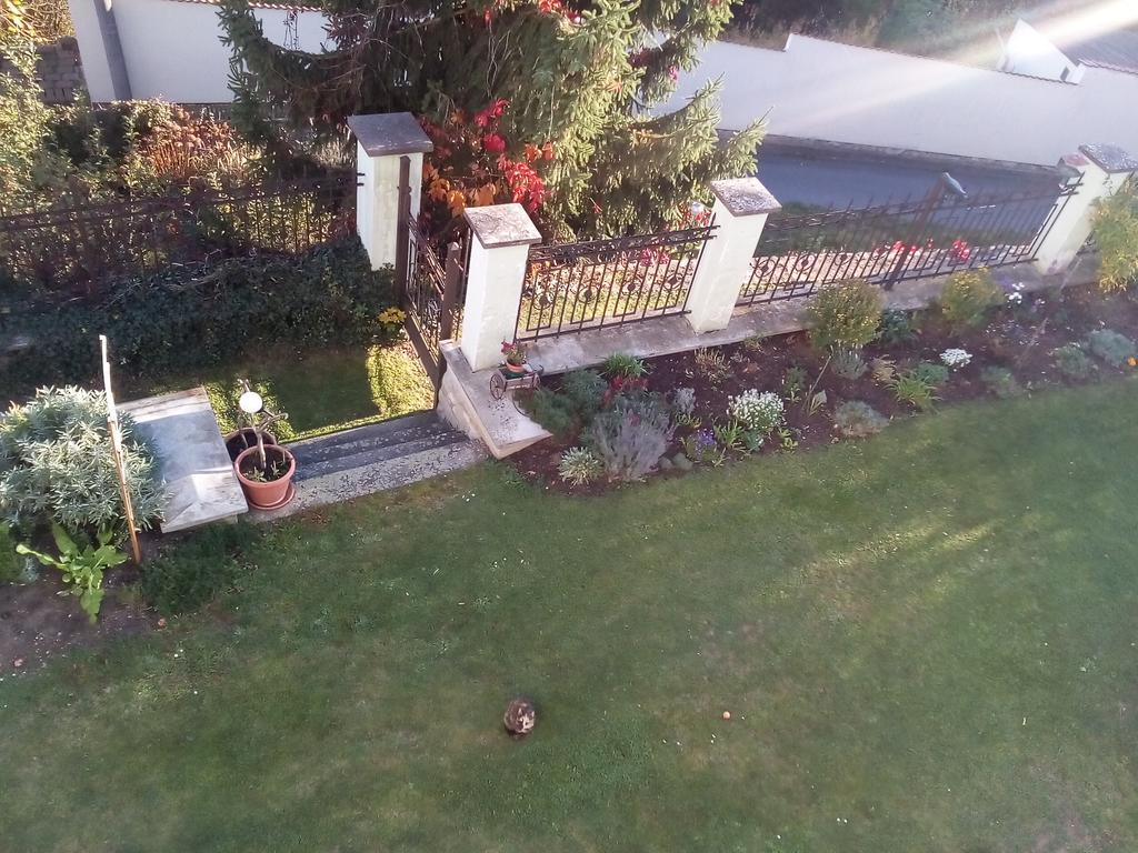 Villa Liduska S Kavarnou Bechyně Buitenkant foto