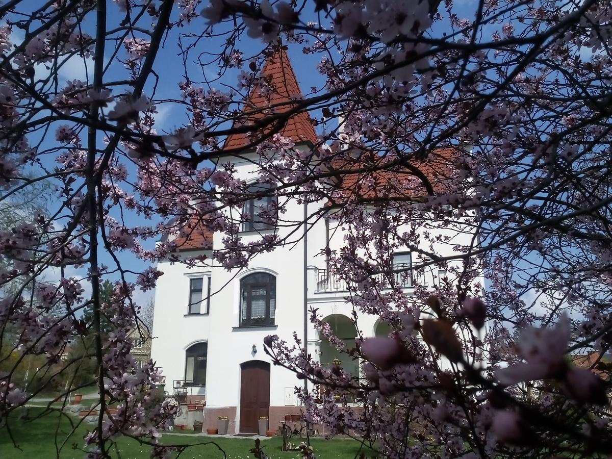 Villa Liduska S Kavarnou Bechyně Buitenkant foto